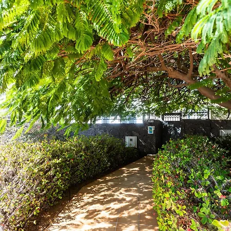 Marina Rubicon Number 5 * 普拉亚布兰卡